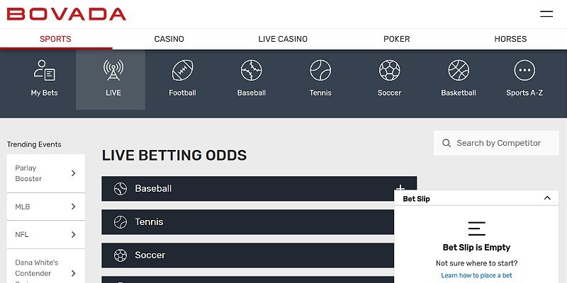 Bovada sports betting app in Texas